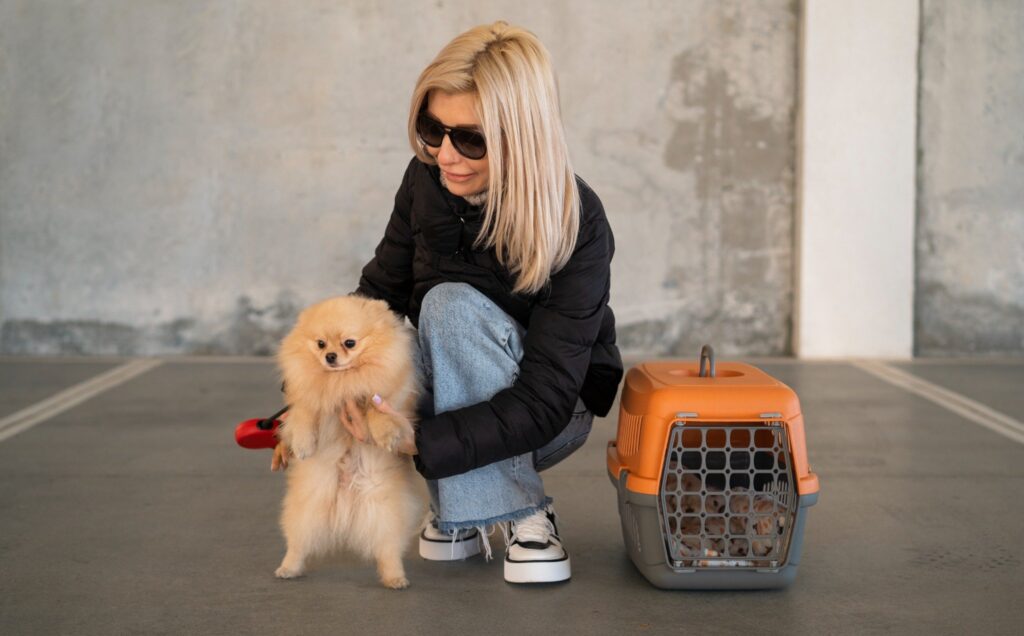 How to Travel Abroad With Your Pet: (A Step-by-Step Guide 2026)